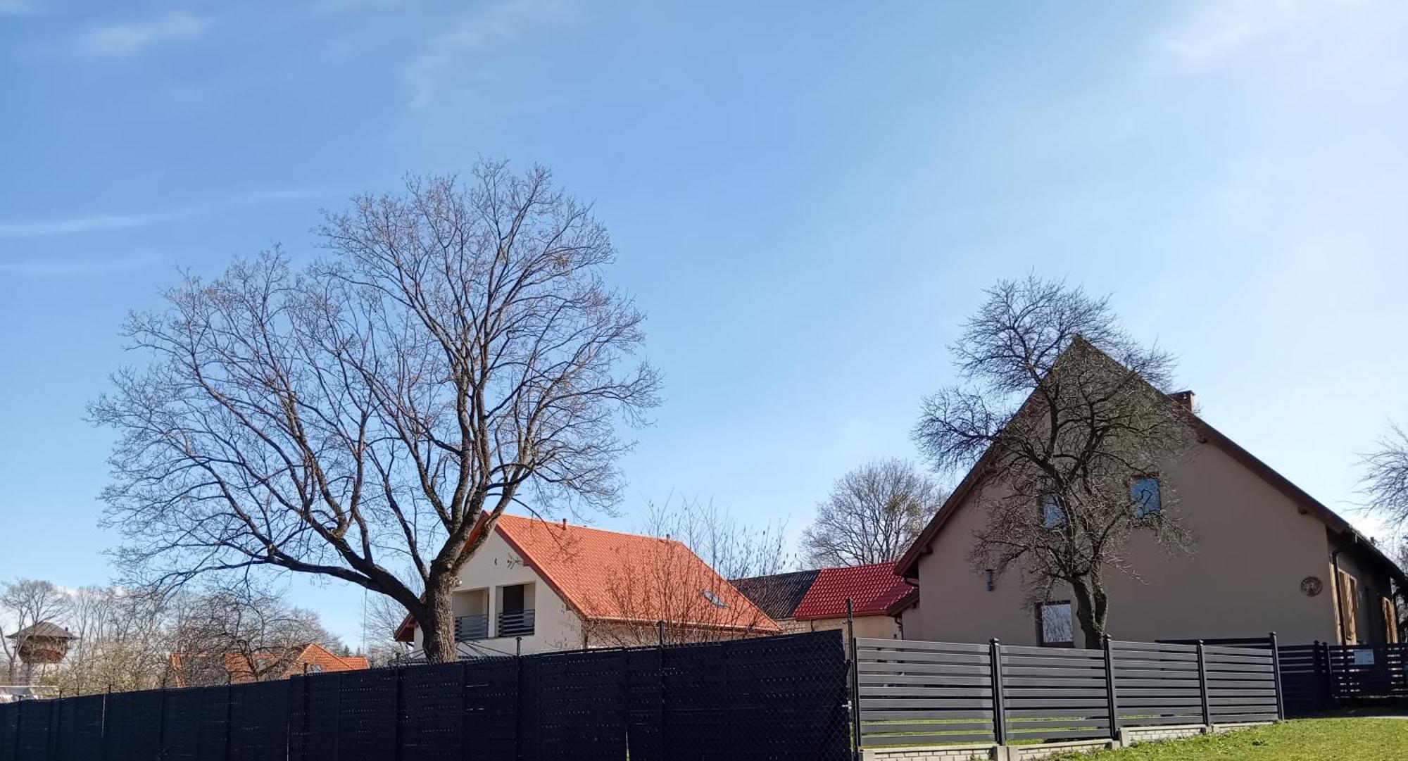 Pokoje Goscinne Sloneczny Klon Dabrowno エクステリア 写真