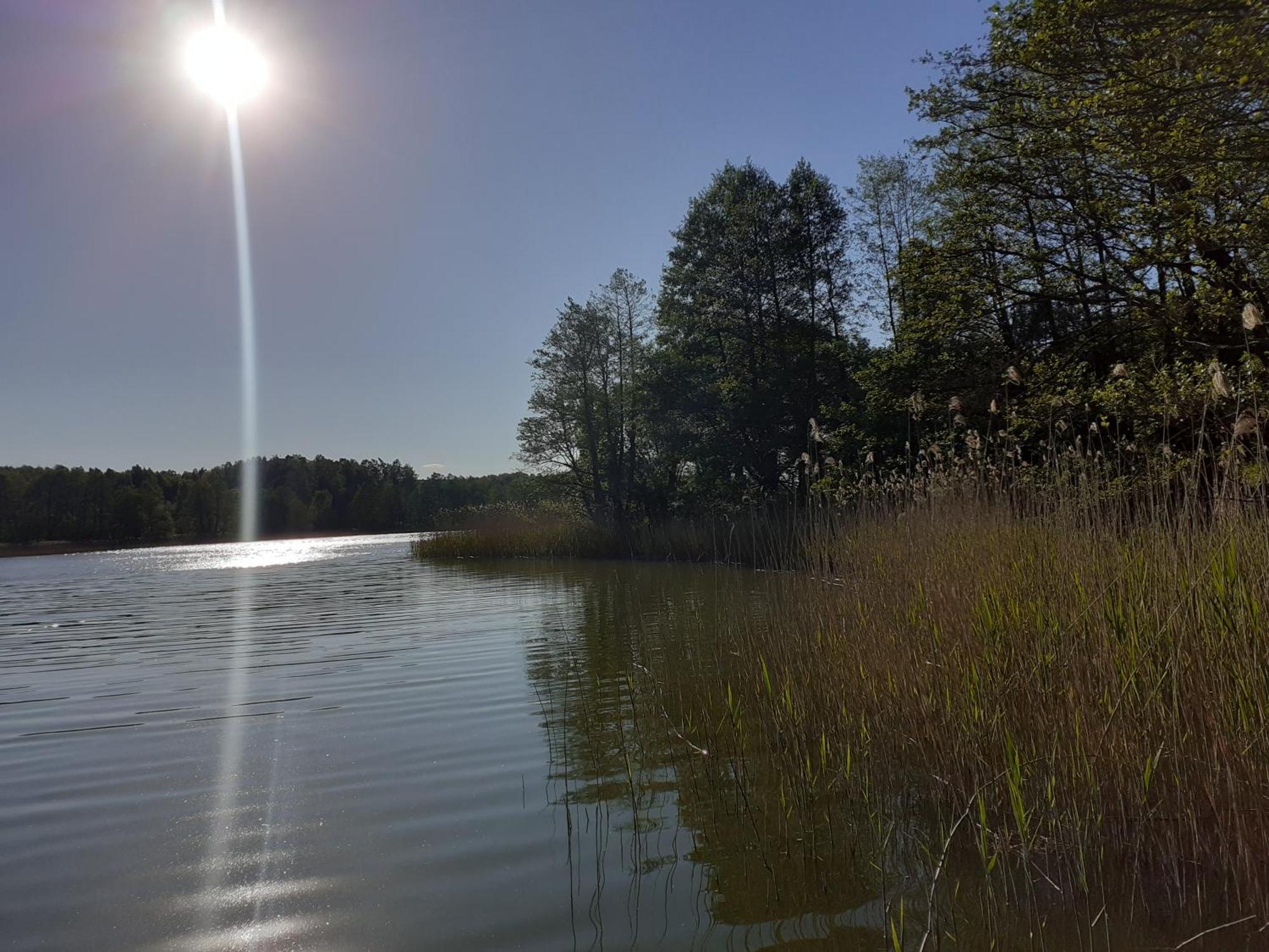 Pokoje Goscinne Sloneczny Klon Dabrowno エクステリア 写真