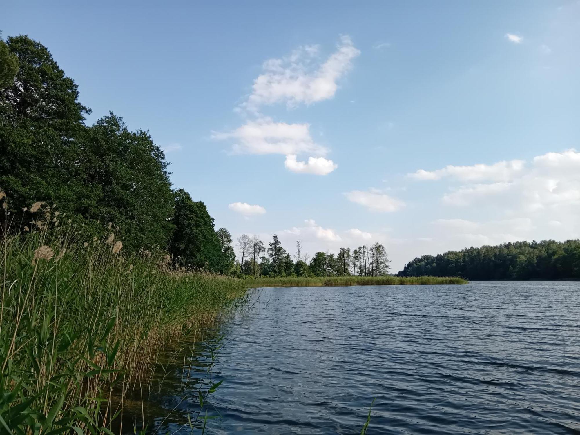 Pokoje Goscinne Sloneczny Klon Dabrowno エクステリア 写真