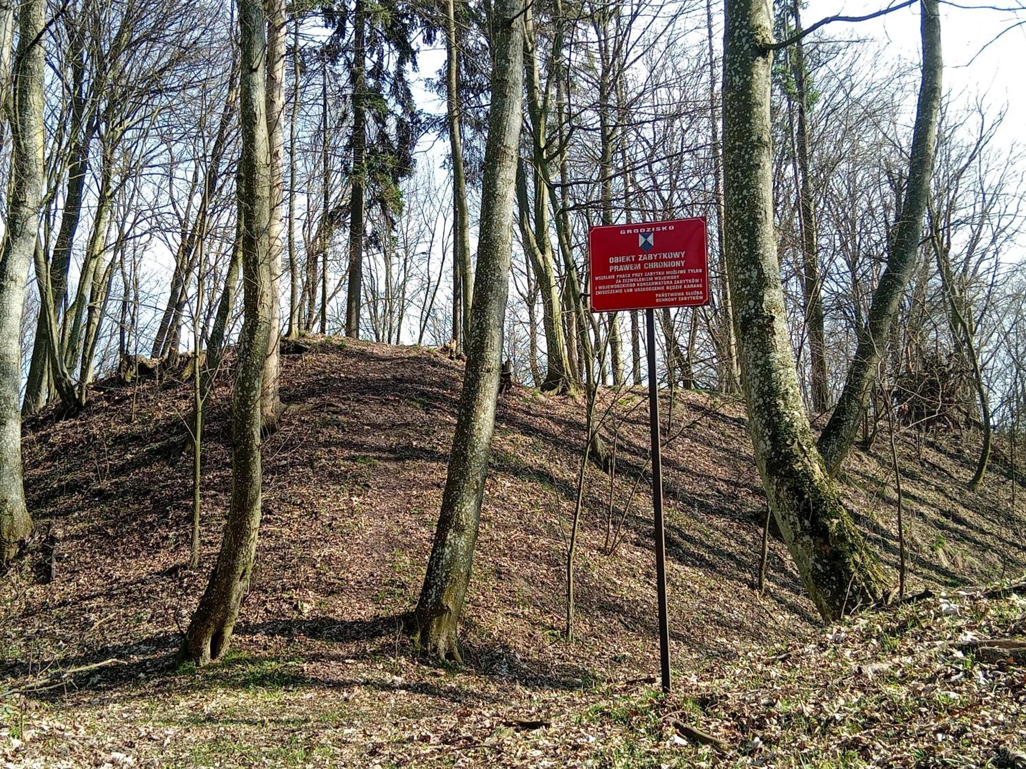 Pokoje Goscinne Sloneczny Klon Dabrowno エクステリア 写真