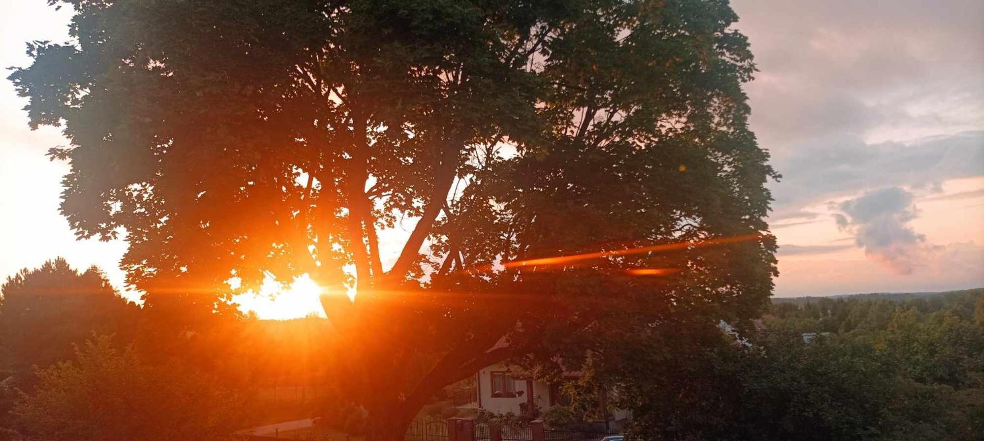 Pokoje Goscinne Sloneczny Klon Dabrowno エクステリア 写真